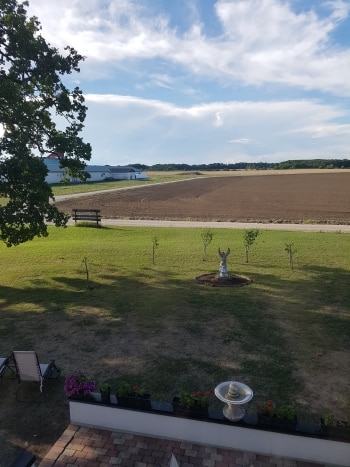 Grästmatta och en brun åker
