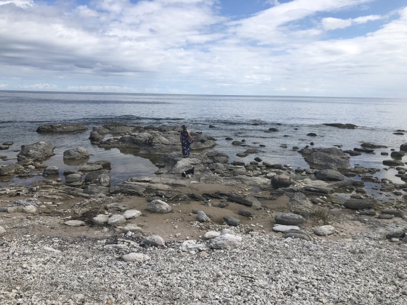 Kvinna och hund som går på stenarna vid strandkanten