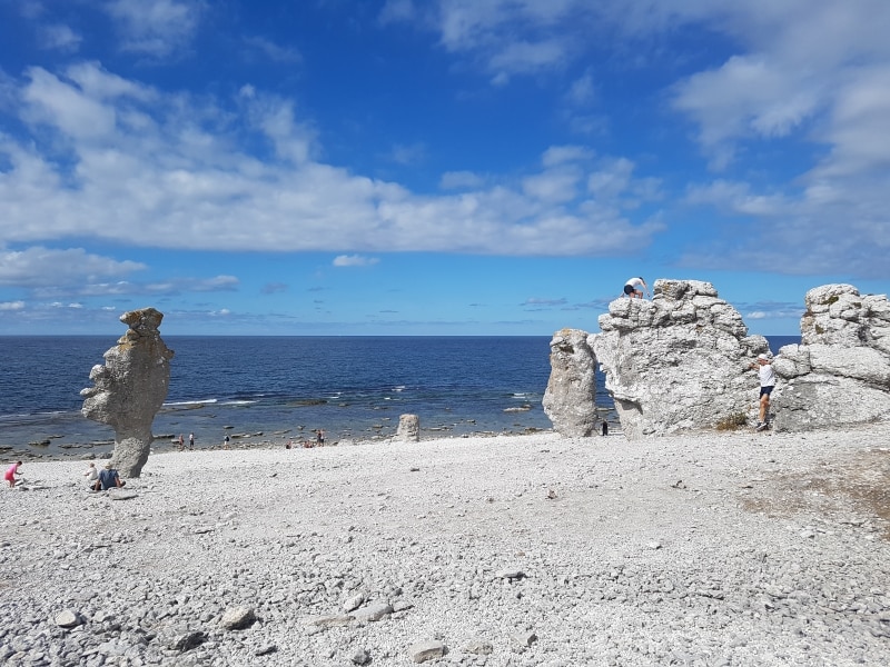 Raukar på en stenstrand vid Östersjön