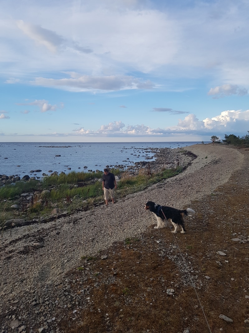 En man och en liten svartvit hund på en stenstrand vid havet