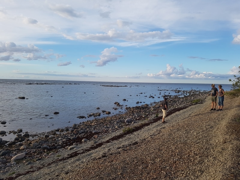 Två män och en kvinna på en stenstrand vid havet