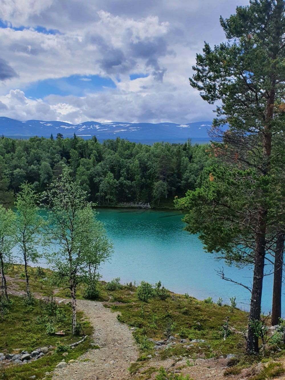 Turkost vattendrag med skog på båda sidor