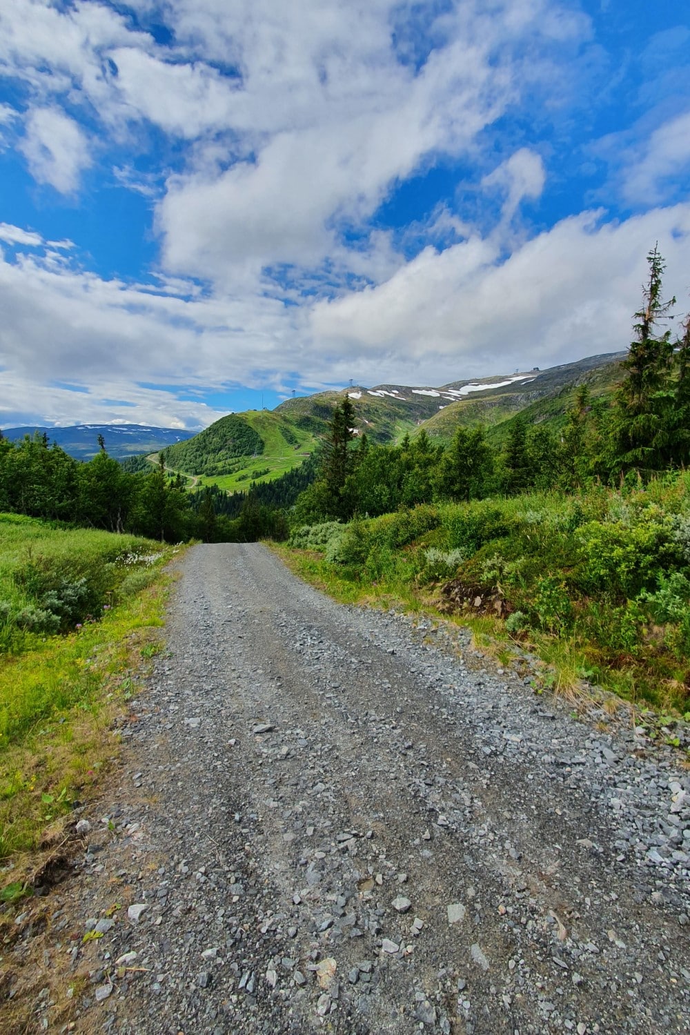 Skogsväg med fjäll i bakgrunden