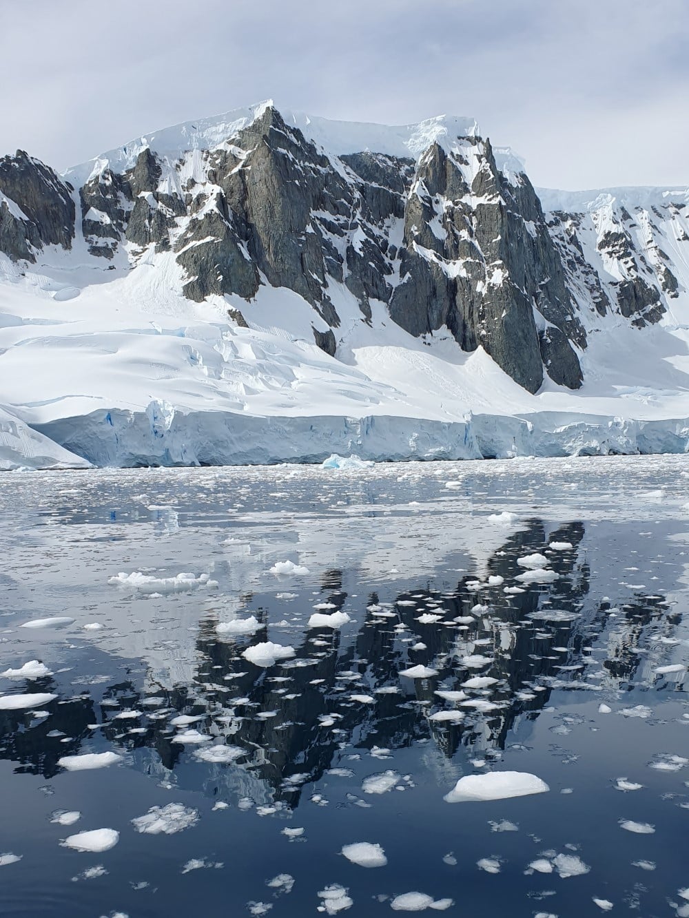 Snötäckt berg och isblock som speglar sig i antarktiska oceanen