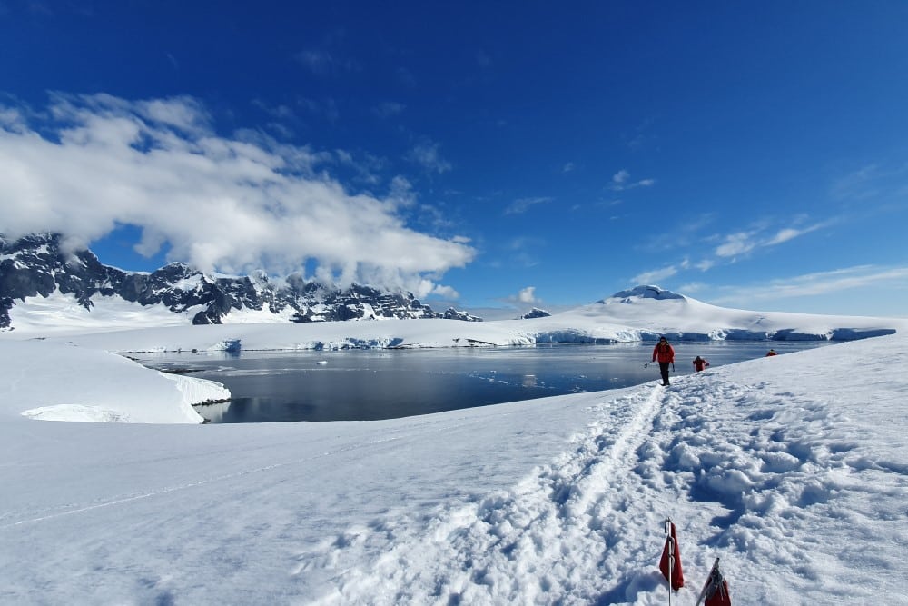 Upptrampad stig i snön bredvid den antarktiska oceanen