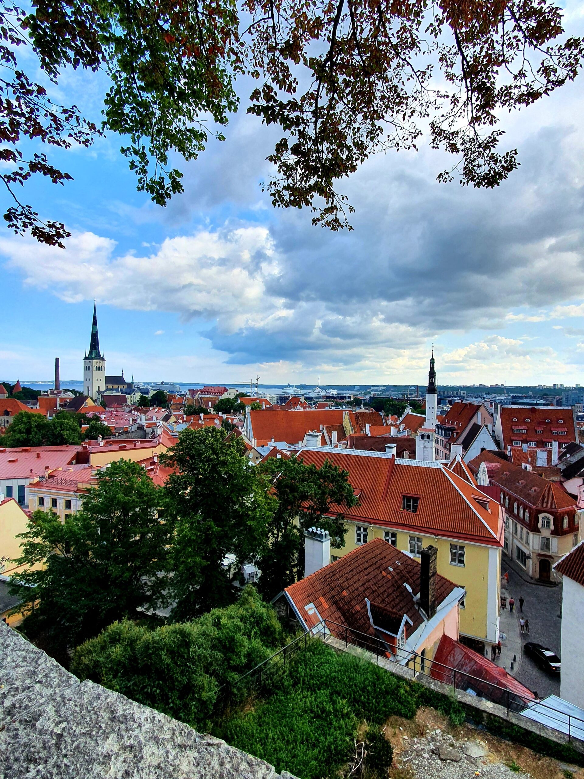 Utsikt över Tallinns färgglada hus med tegeltak och kyrkklockor