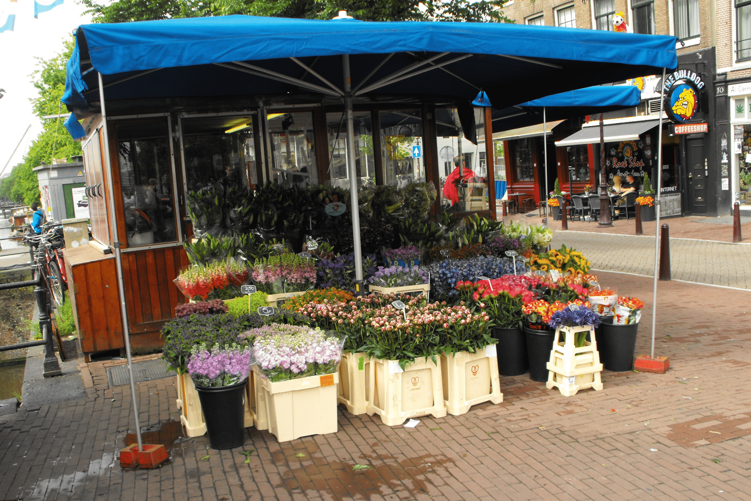 Blomsterhandel utomhus med tulpaner och andra blommor under blått parasoll